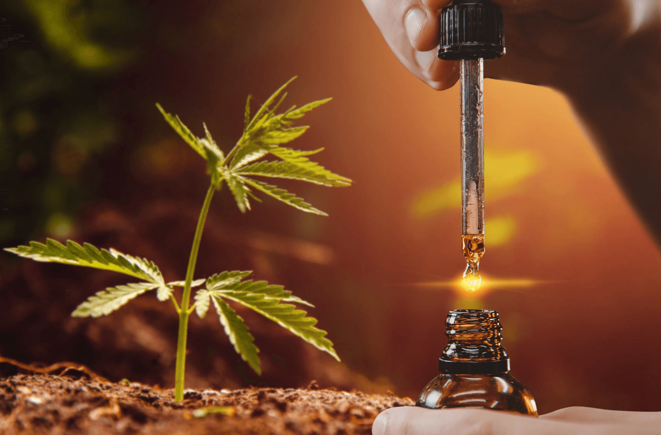 What Does Cbd Oil Do to Your Brain