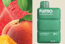 THE ULTIMATE CHOICE FOR DISPOSABLE VAPE USERS: FUMMO TARGET 3000 PUFFS