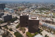 business expansion phone numbers