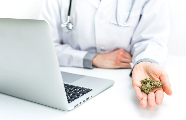 The Potential Role of Medical Cannabis in Harm Reduction Strategies